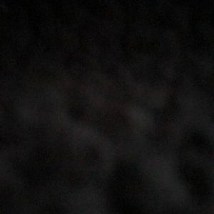 Meet your Posher, Lilly